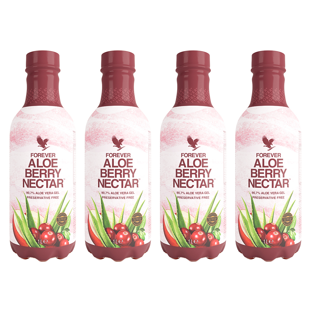 4 Pack Aloe Berry Nectar